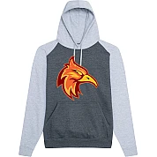 Felpa con cappuccio a contrasto Firebirds