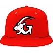 Gefle Pet