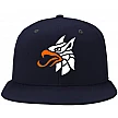 Gryphons  Cap