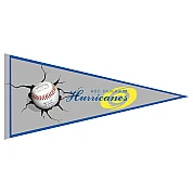 Pennant degli Hilversum Hurricanes