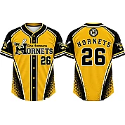 Bad Homborg Hornets Alternate Jersey, Flatback Mesh