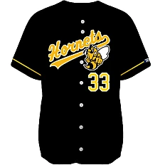 Squadra Oldenburg Hornets