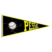 Pessac Pantheres Pennant
