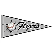 Wiesbaden Flyers Pennant
