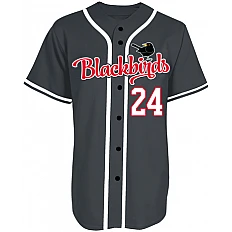 Wolfsburg Blackbirds