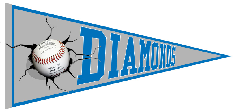 Drachten Diamonds Pennant
