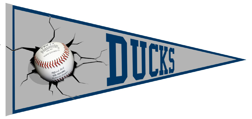 Ducks Pennant