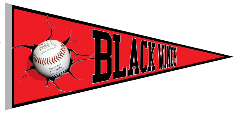 Hanau Blackwings Pennant