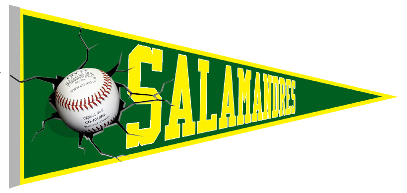 Salamandres le Havre Pennant