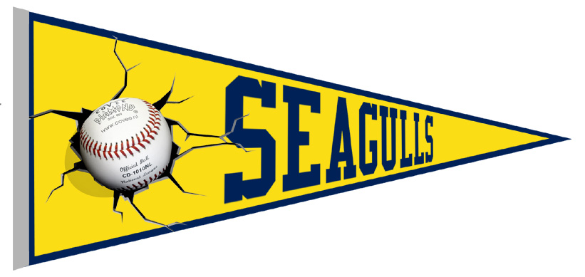 Seagulls Pennant