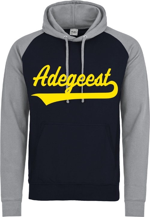 Felpa con cappuccio a contrasto Adegeest