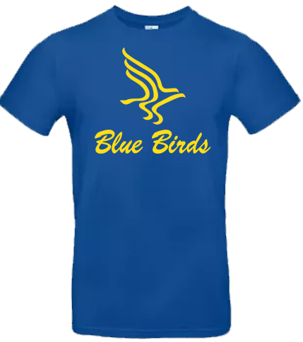 Blue Birds Hoodie