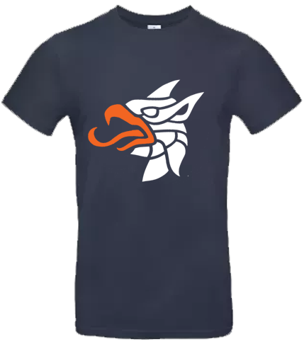 Gryphons Hoodie: Flames