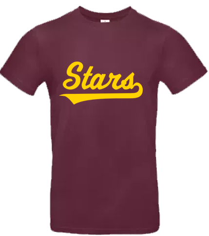 Northern Stars T-shirt