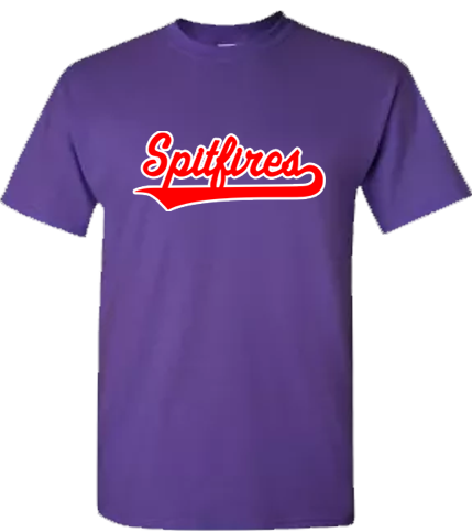 Felpa con cappuccio Spitfires