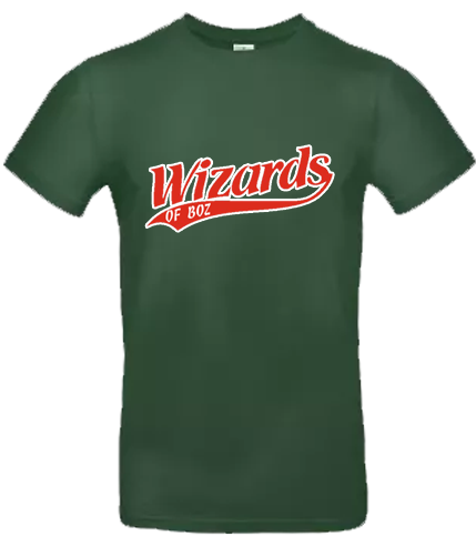 Wizards of BOZ Hoodie