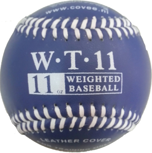 Verzwaarde Softballen Set (3)