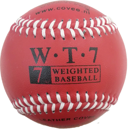 Verzwaarde Softballen Set (3)