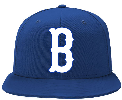 Bergen Wet Sox Cap