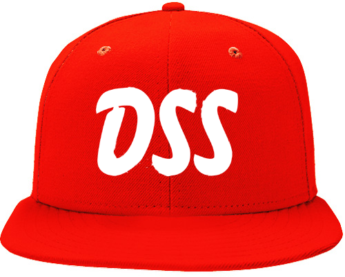 DSS Haarlem Cap