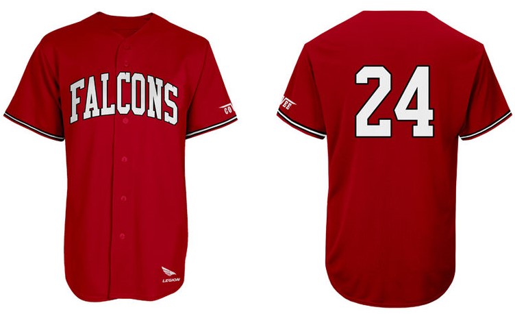 Falcons Lelystad Jersey