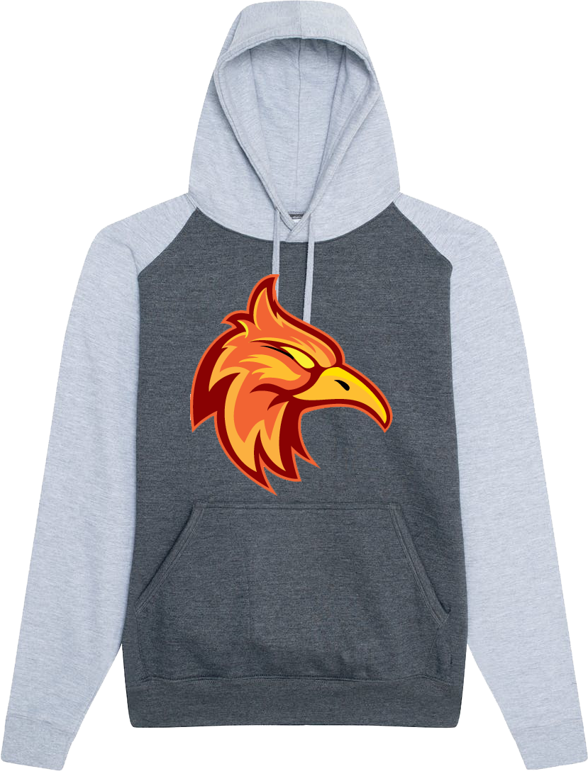 Felpa con cappuccio a contrasto Firebirds