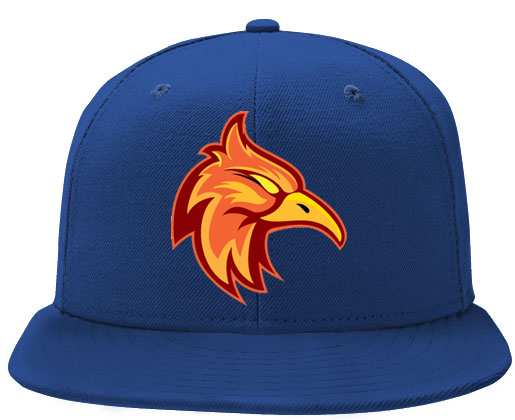 Firebirds Cap