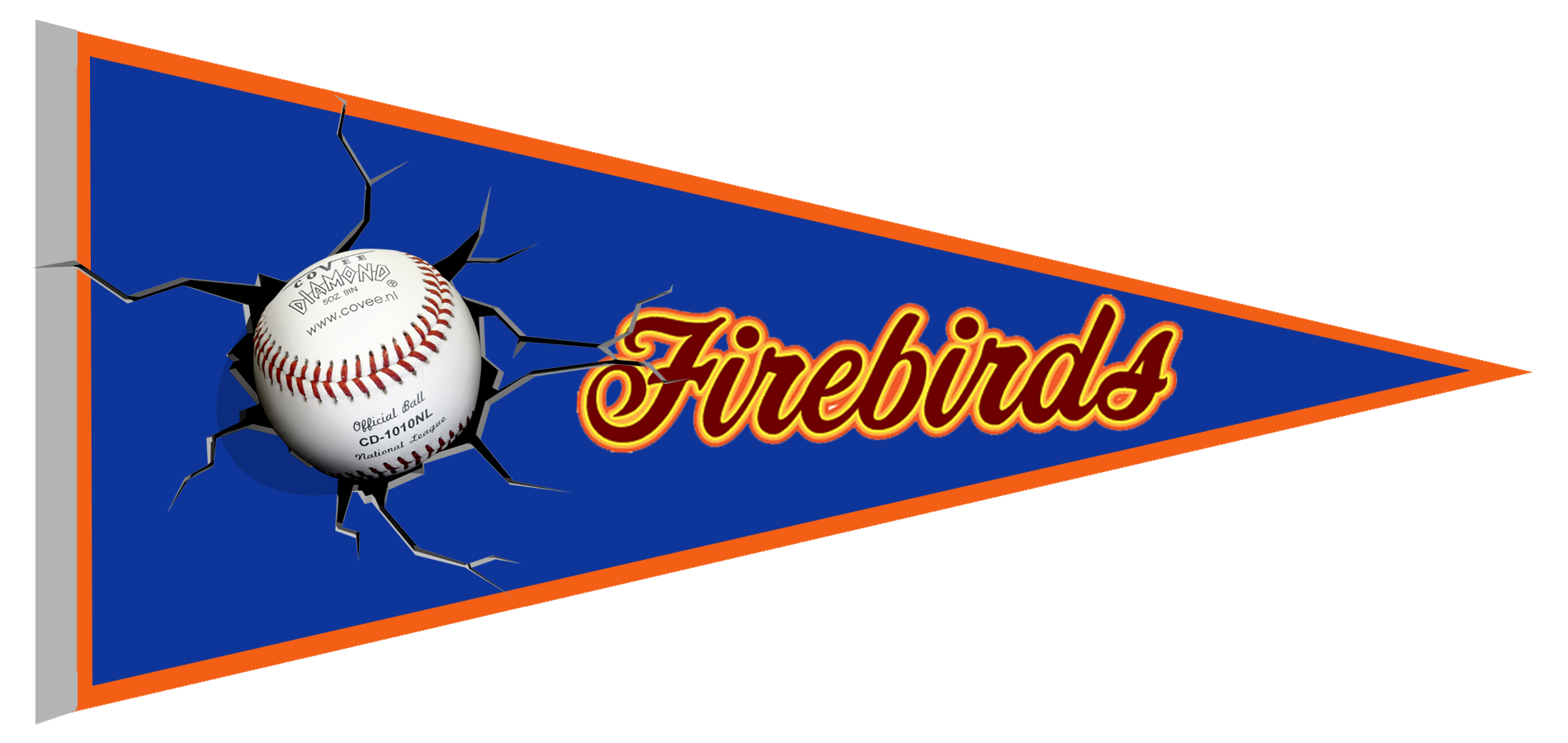 Pennant degli Firebirds
