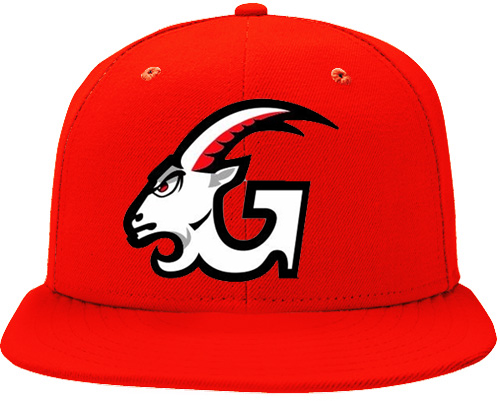 Gefle Pet
