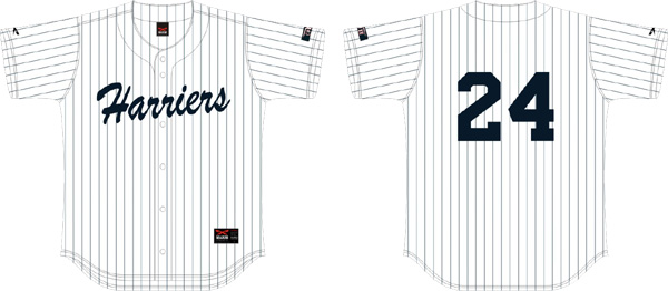 Harriers Jersey