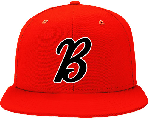 Badgers de Besancon Pet