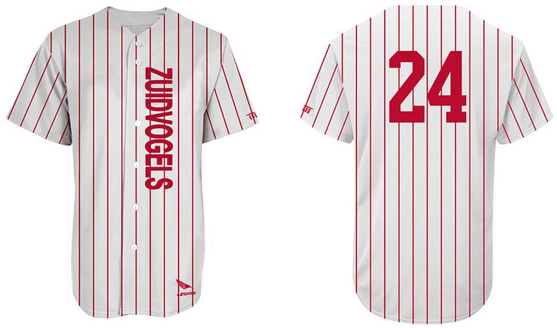 Zuidvogels Shirt: Pinstripe